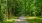 Nature Trail with canopy tree coverage