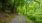Nature Trail with tree canopy coverage