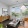 large, furnished living room